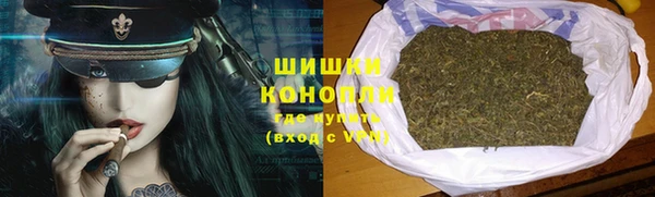 дмт Костерёво